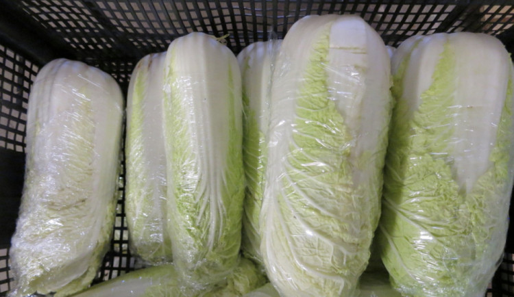 Pekingské zelí