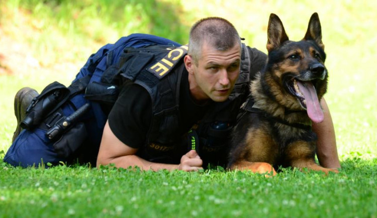 Ilustrační snímek