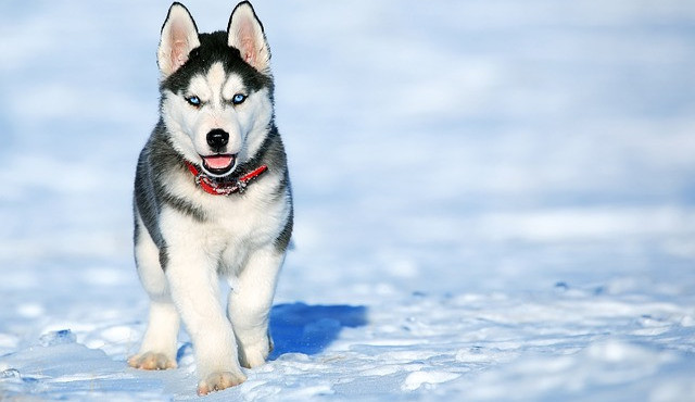 Ilustrační snímek