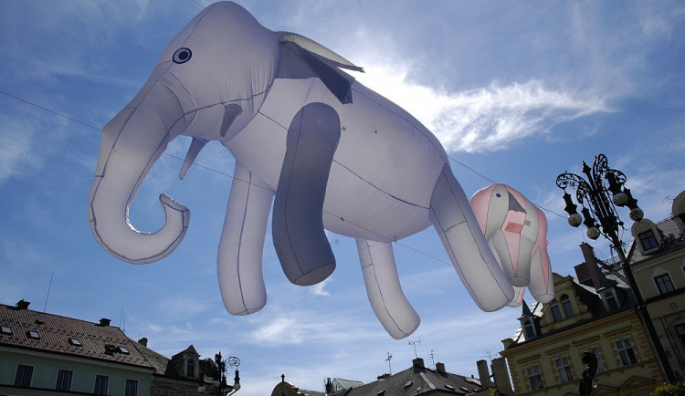 Slon je maskotem Mateřinky