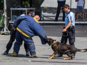 Foto ze Dne IZS v Jablonci nad Nisou.