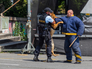 Foto ze Dne IZS v Jablonci nad Nisou.