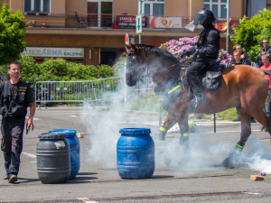 Foto ze Dne IZS v Jablonci nad Nisou.