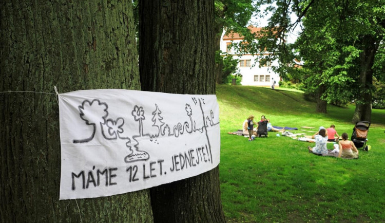 Takové stromy můžete nyní vidět v Liberci.