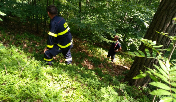 Pátrání po ztraceném muži