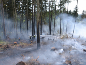 FOTO: S lesním požárem ve Studenci bojovalo deset jednotek hasičů