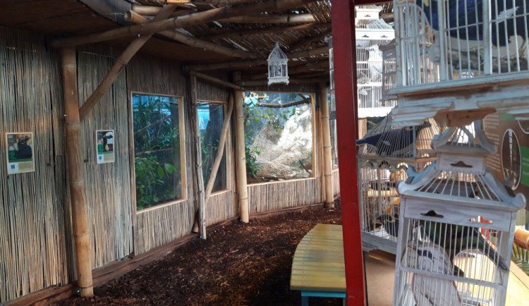 Nový pavilon tropů.