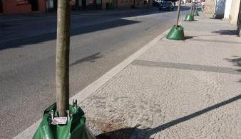 Zavlažovací vaky v Turnově.