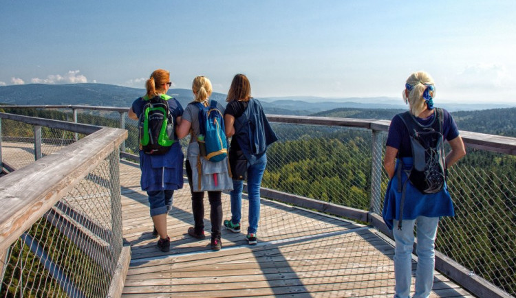 Stezka korunami stromů.