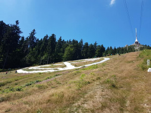 Na sjezdovce pod Ještědem se objevilo logo hnutí Extinction Rebellion