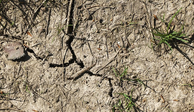 Ilustrační snímek