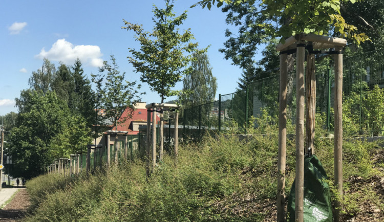 Zavlažovací vaky používají už i v Jablonci.