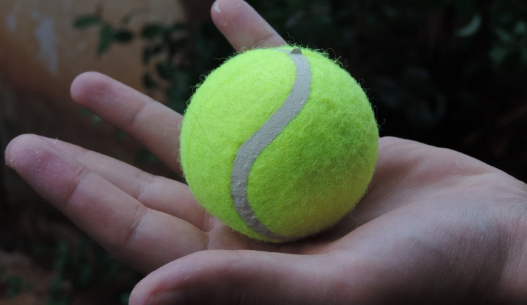 Agresivní otec hodil po svém plnoletém synovi tenisák. Situaci řešili strážníci