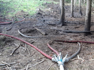 FOTO: Nedaleko Hamerského jezera hořel les. Zasahovalo pět jednotek hasičů