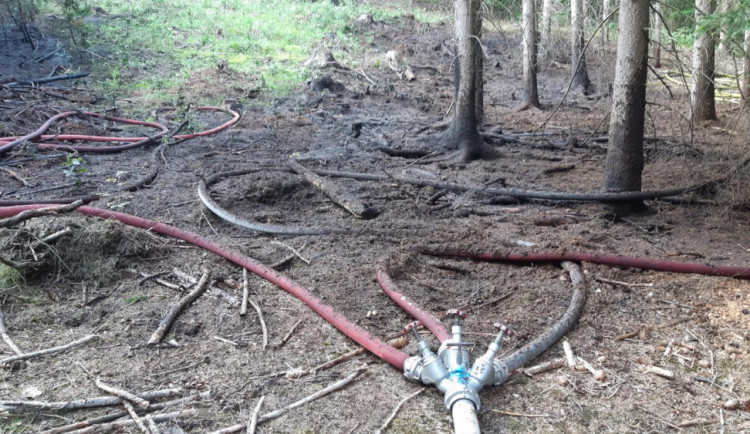 Požár u Hamerského jezera.