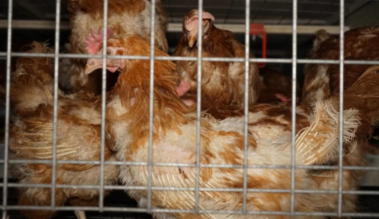 Ilustrační snímek