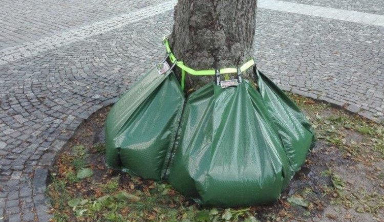 Ilustrační snímek