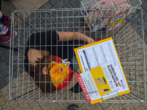 Dnešní akce na Benešáku zaměřená na boj proti klecovým chovům.