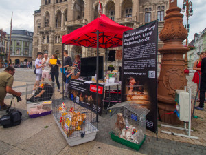 Dnešní akce na Benešáku zaměřená na boj proti klecovým chovům.