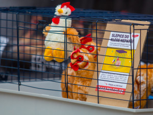 Dnešní akce na Benešáku zaměřená na boj proti klecovým chovům.