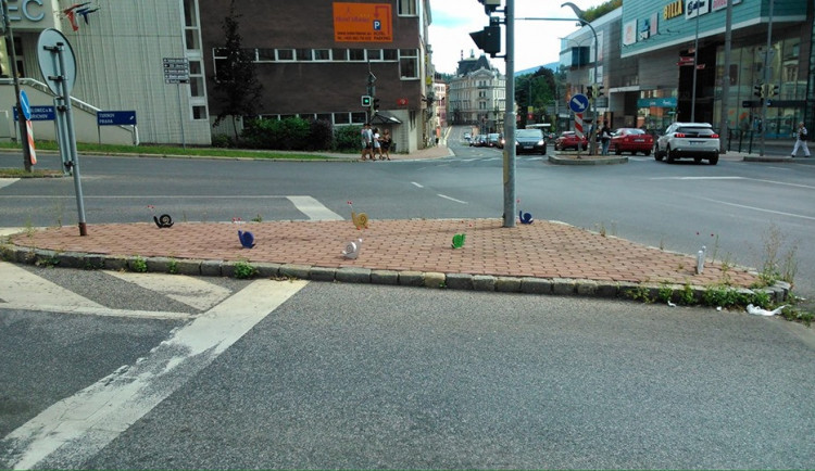 Šnečci lidi pobavili, ale už z místa zmizeli.