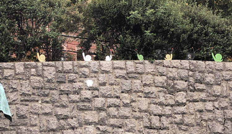 Šneci jsou opět v centru Liberce.