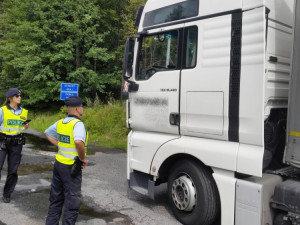 Foto z akce MIGRATN 1/19.