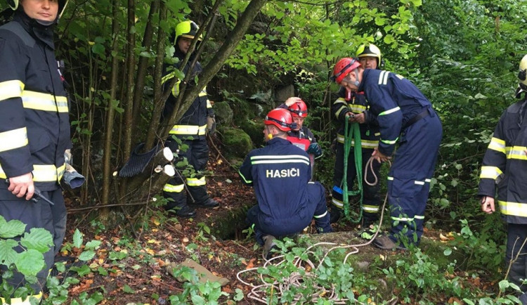 Hasiči vytáhli srnce ze staré studny.