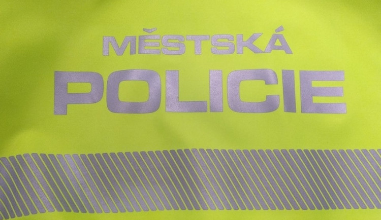 Opilý muž napadl strážníka a policistu. Hrozí mu čtyři roky ve vězení