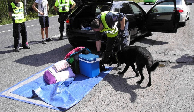 Policisté hledají drogy.