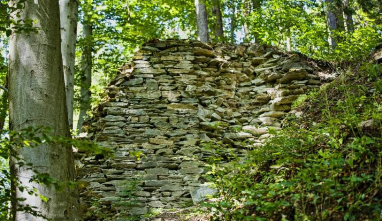 Zbytky hradu Štěpanice.