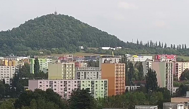 Na Špičáku se rojí mravenci.