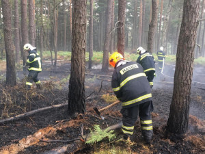 FOTO: Rozsáhlý požár lesa ve Světlé pod Ještědem. S ohněm bojovalo pět jednotek hasičů