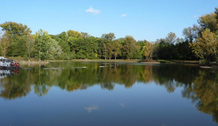 Ilustrační snímek