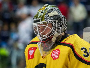 Tygrům se dnes nedařilo. Utrpěli třetí porážku