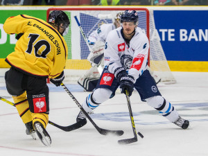 Tygrům se dnes nedařilo. Utrpěli třetí porážku