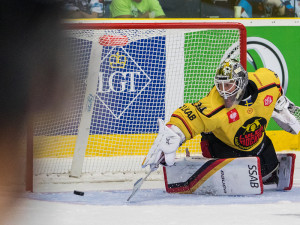 Tygrům se dnes nedařilo. Utrpěli třetí porážku