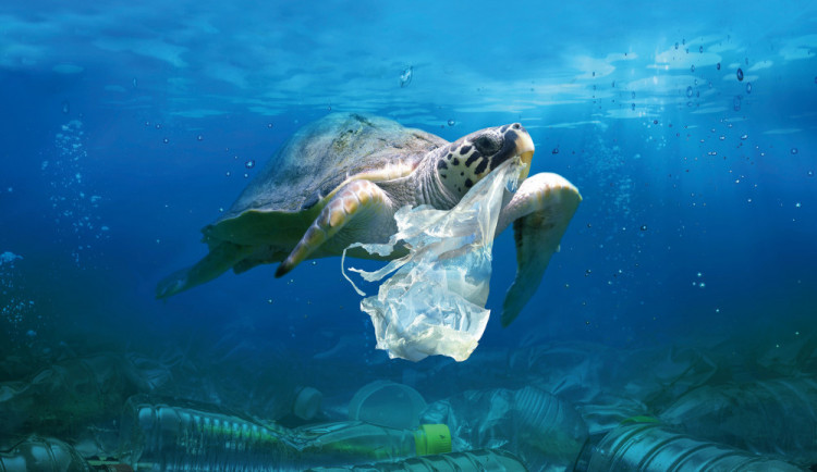 festival Voda Moře Oceány