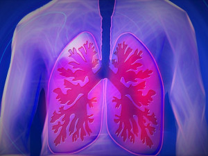 Máte zdravé plíce? Můžete si je nechat vyšetřit bez objednání i doporučení od obvoďáka
