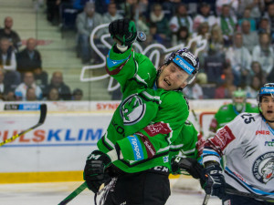 Tygři dnes nad Bolkou vyhráli!