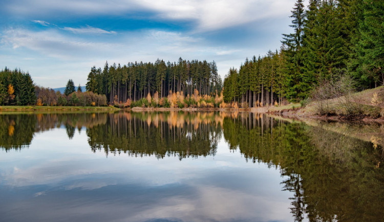 Martinické rybníky