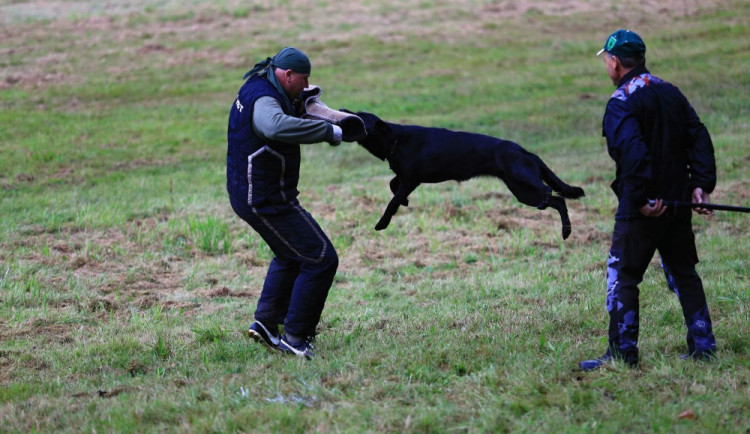V sobotu se bude mezi kynology bojovat v 38. ročníku soutěže O liberecký pohár