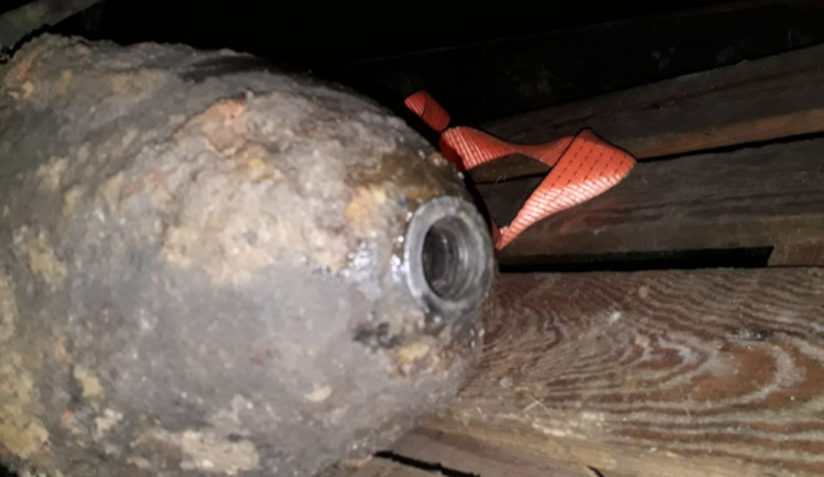 Zneškodněná puma.