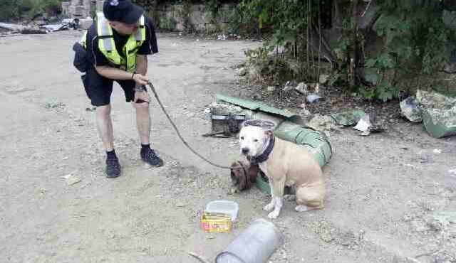 Pes byl dva dny uvázaný.