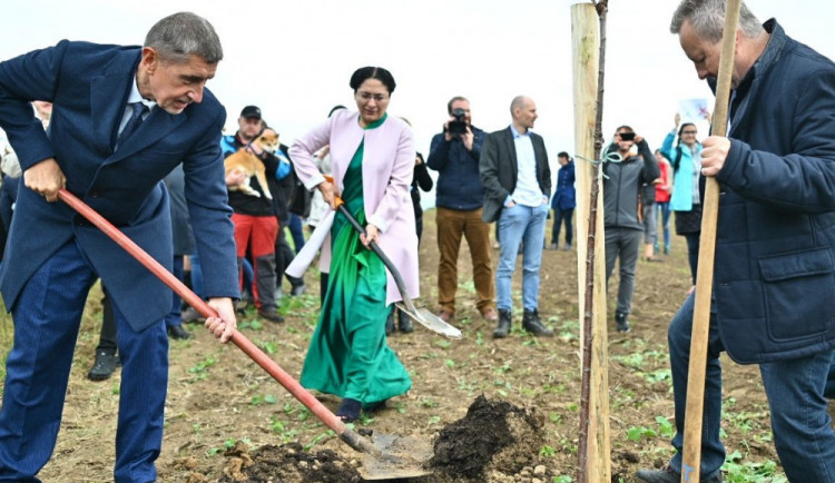 Andrej Babiš sází stromy ve Vyskeři