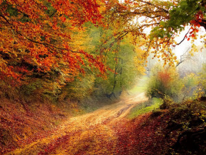 Příští týden přinese podle předpovědi meteorologů oteplení