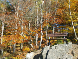 TIP NA VÝLET: Podzimní pohádka na Kamenického stezce