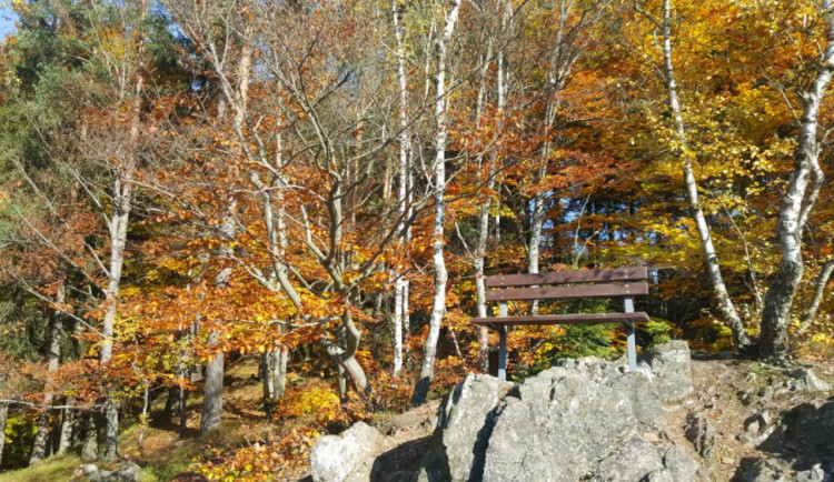 Vyhlídka na Kamenického stezce