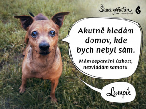 Lumpík.