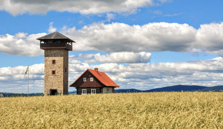 Rozhledna U Borovice.